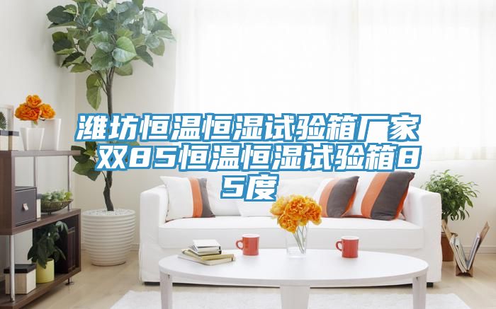 濰坊恒溫恒濕試驗(yàn)箱廠家 雙85恒溫恒濕試驗(yàn)箱85度