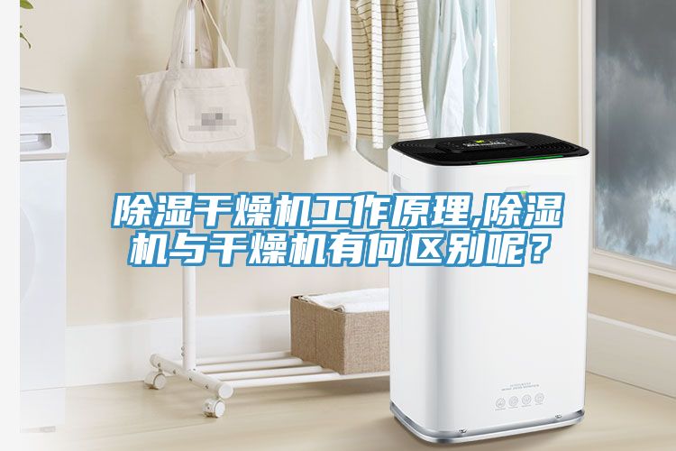 除濕干燥機工作原理,除濕機與干燥機有何區(qū)別呢？