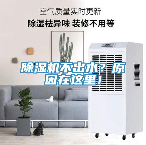 除濕機(jī)不出水？原因在這里！