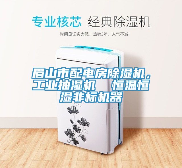 眉山市配電房除濕機，工業(yè)抽濕機  恒溫恒濕非標機器