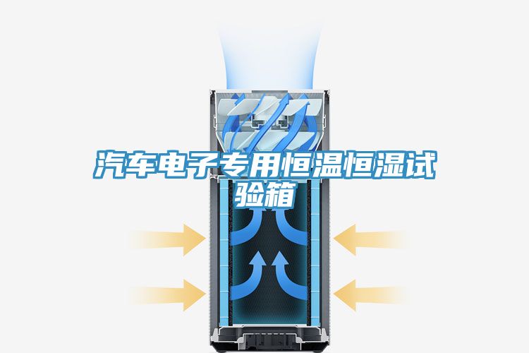 汽車電子專用恒溫恒濕試驗(yàn)箱