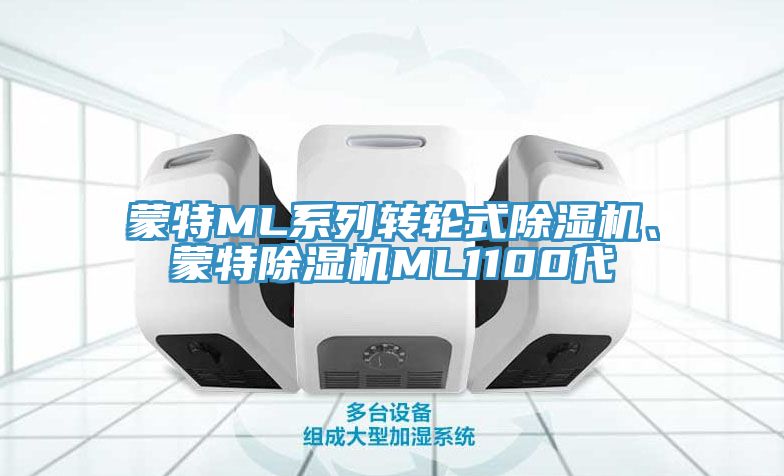 蒙特ML系列轉(zhuǎn)輪式除濕機(jī)、蒙特除濕機(jī)ML1100代