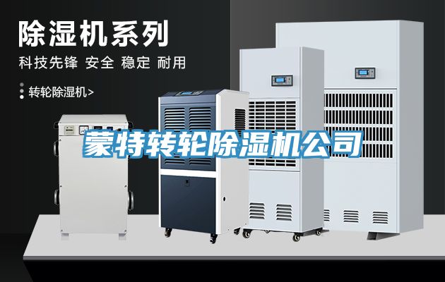 蒙特轉(zhuǎn)輪除濕機(jī)公司
