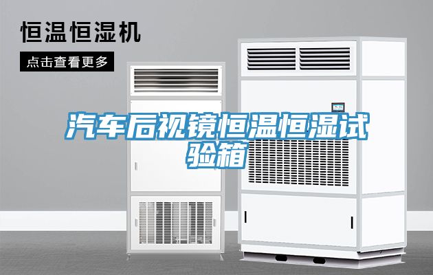 汽車后視鏡恒溫恒濕試驗(yàn)箱