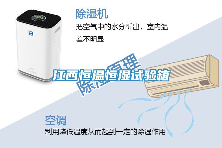 江西恒溫恒濕試驗(yàn)箱