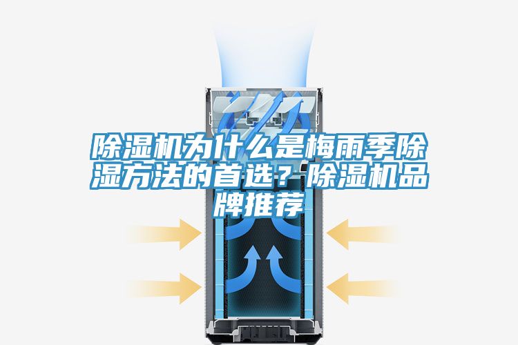 除濕機(jī)為什么是梅雨季除濕方法的首選？除濕機(jī)品牌推薦