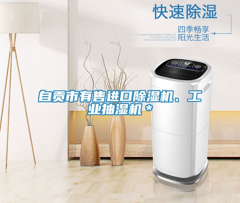 自貢市有售進(jìn)口除濕機(jī)、工業(yè)抽濕機(jī)＊