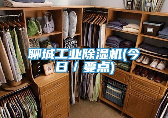 聊城工業(yè)除濕機(今日／要點)