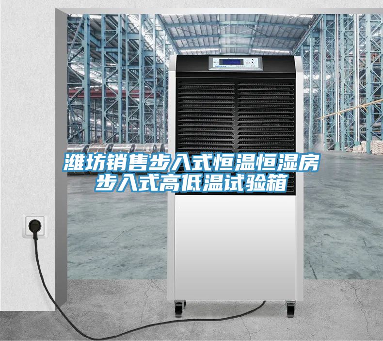 濰坊銷售步入式恒溫恒濕房步入式高低溫試驗(yàn)箱