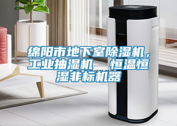 綿陽市地下室除濕機(jī)，工業(yè)抽濕機(jī)  恒溫恒濕非標(biāo)機(jī)器