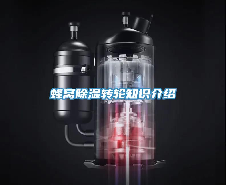 蜂窩除濕轉(zhuǎn)輪知識(shí)介紹