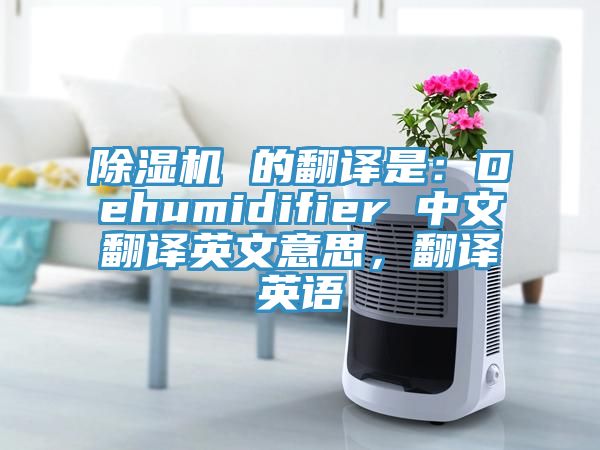 除濕機(jī) 的翻譯是：Dehumidifier 中文翻譯英文意思，翻譯英語