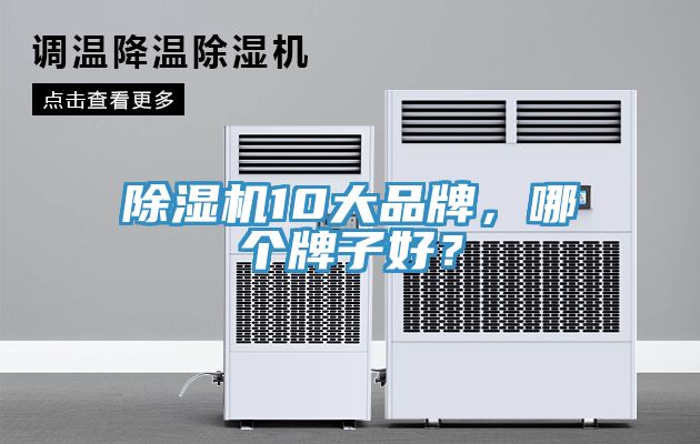 除濕機10大品牌，哪個牌子好？