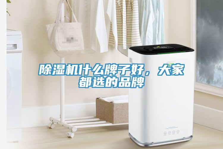 除濕機(jī)什么牌子好，大家都選的品牌