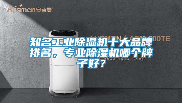 知名工業(yè)除濕機十大品牌排名，專業(yè)除濕機哪個牌子好？