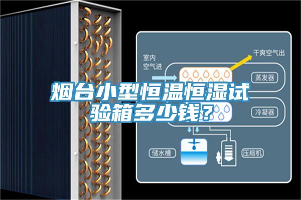 煙臺(tái)小型恒溫恒濕試驗(yàn)箱多少錢？