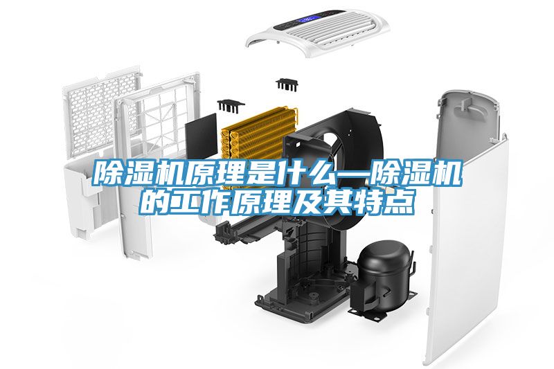 除濕機(jī)原理是什么—除濕機(jī)的工作原理及其特點(diǎn)