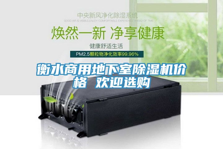 衡水商用地下室除濕機(jī)價(jià)格 歡迎選購(gòu)