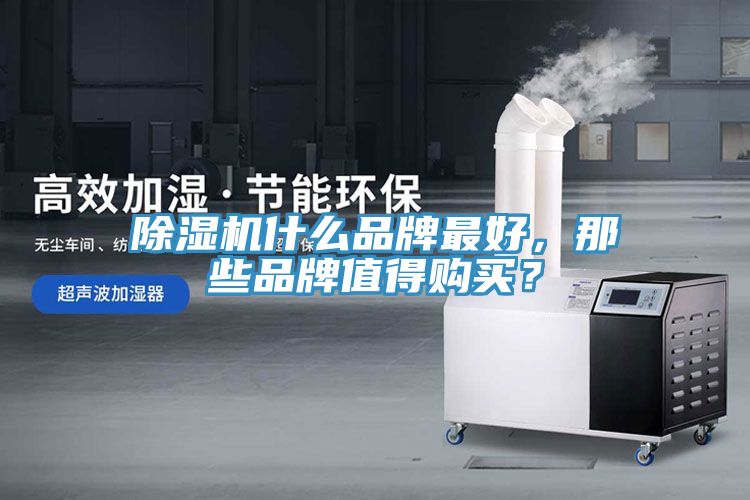 除濕機(jī)什么品牌最好，那些品牌值得購(gòu)買(mǎi)？