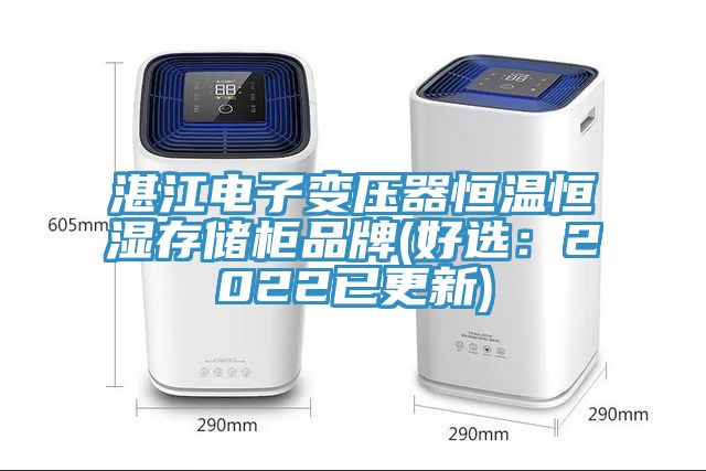 湛江電子變壓器恒溫恒濕存儲(chǔ)柜品牌(好選：2022已更新)