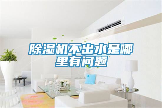 除濕機(jī)不出水是哪里有問題