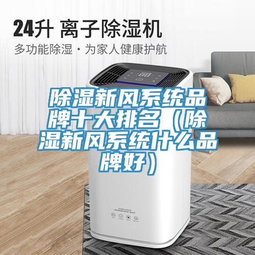 除濕新風系統品牌十大排名(除濕新風系統什么品牌好)