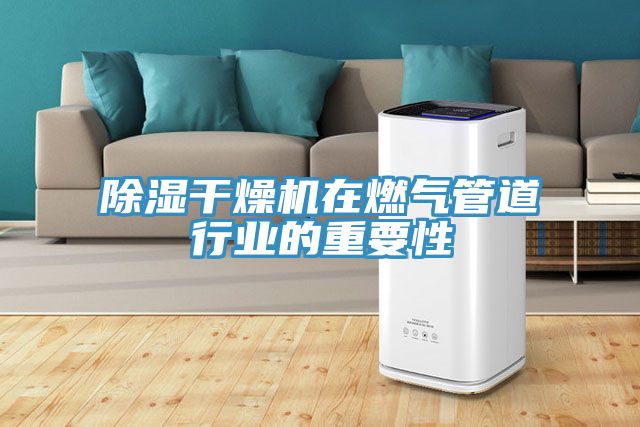 除濕干燥機在燃氣管道行業(yè)的重要性
