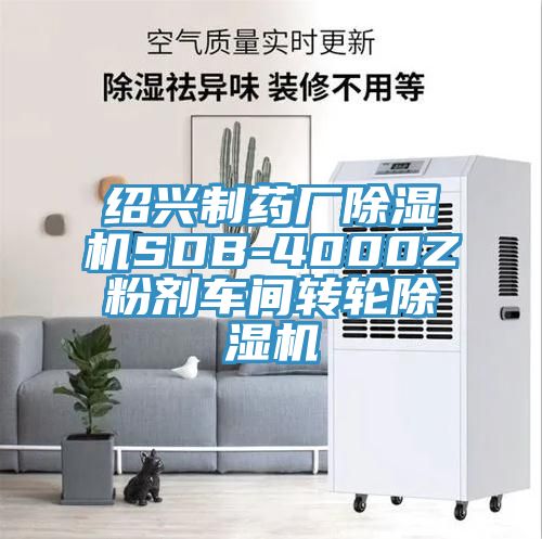 紹興制藥廠除濕機SDB-4000Z粉劑車間轉(zhuǎn)輪除濕機