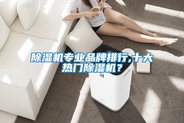 除濕機(jī)專(zhuān)業(yè)品牌排行,十大熱門(mén)除濕機(jī)？