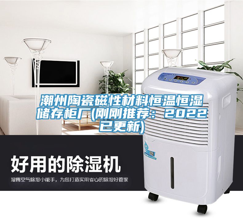 潮州陶瓷磁性材料恒溫恒濕儲(chǔ)存柜廠(剛剛推薦：2022已更新)