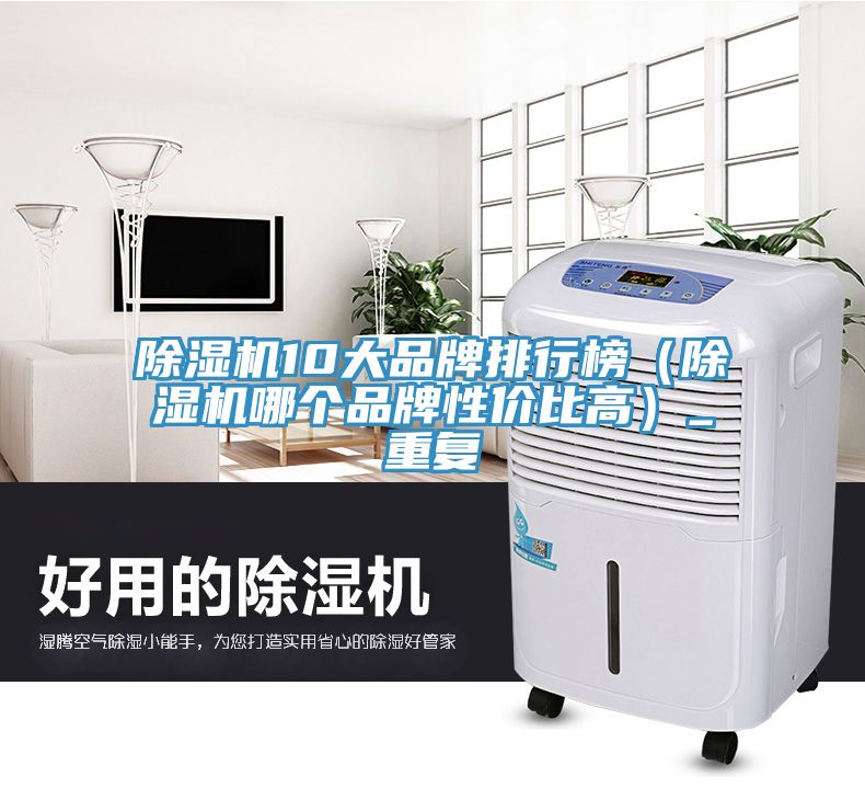 除濕機10大品牌排行榜（除濕機哪個品牌性價比高）_重復(fù)