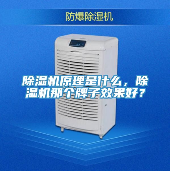 除濕機(jī)原理是什么，除濕機(jī)那個牌子效果好？