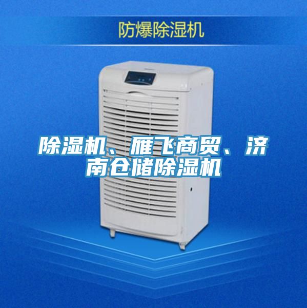 除濕機(jī)、雁飛商貿(mào)、濟(jì)南倉(cāng)儲(chǔ)除濕機(jī)