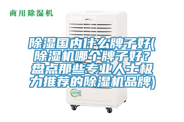 除濕國內(nèi)什么牌子好(除濕機哪個牌子好？盤點那些專業(yè)人士極力推薦的除濕機品牌)