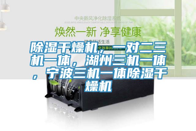 除濕干燥機(jī)，一對(duì)二三機(jī)一體，湖州三機(jī)一體，寧波三機(jī)一體除濕干燥機(jī)