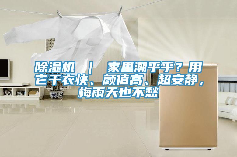 除濕機(jī) ｜ 家里潮乎乎？用它干衣快、顏值高、超安靜，梅雨天也不愁