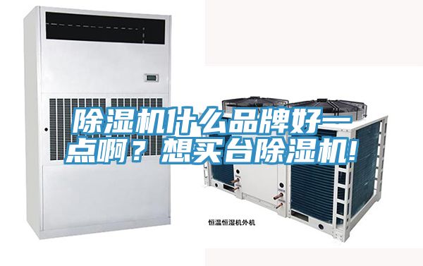 除濕機(jī)什么品牌好一點(diǎn)?。肯胭I(mǎi)臺(tái)除濕機(jī)!