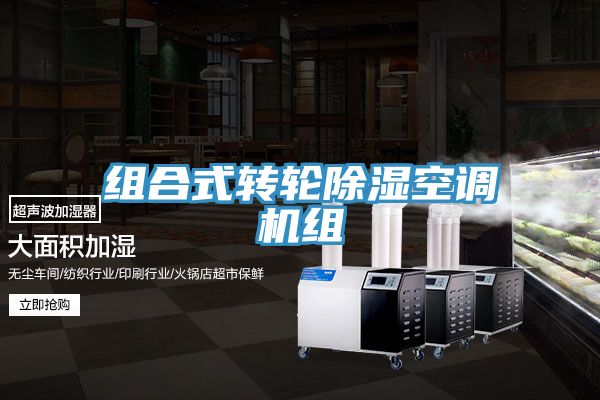 組合式轉(zhuǎn)輪除濕空調(diào)機組