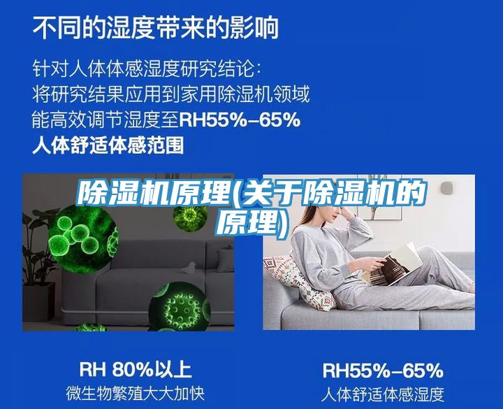 除濕機(jī)原理(關(guān)于除濕機(jī)的原理)