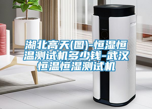 湖北高天(圖)-恒濕恒溫測試機(jī)多少錢-武漢恒溫恒濕測試機(jī)
