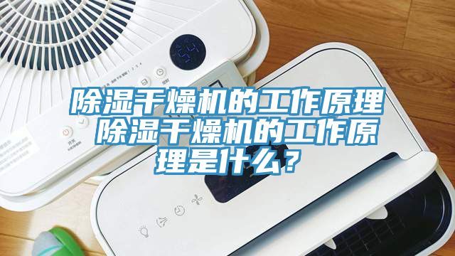 除濕干燥機的工作原理 除濕干燥機的工作原理是什么？