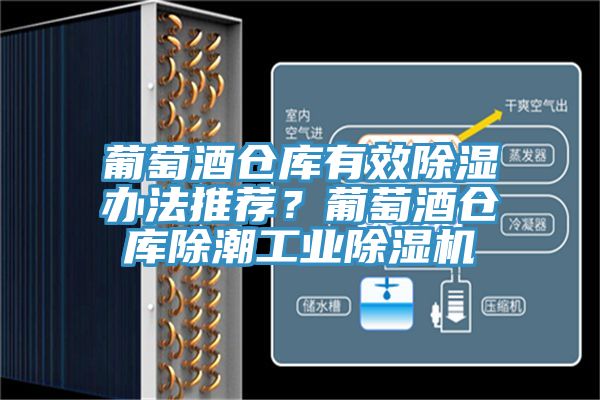 葡萄酒倉庫有效除濕辦法推薦？葡萄酒倉庫除潮工業(yè)除濕機(jī)
