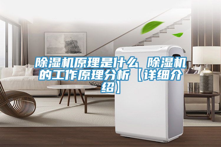 除濕機(jī)原理是什么 除濕機(jī)的工作原理分析【詳細(xì)介紹】