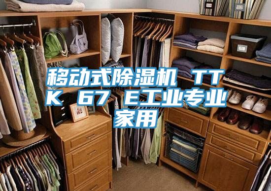移動(dòng)式除濕機(jī) TTK 67 E工業(yè)專(zhuān)業(yè)家用