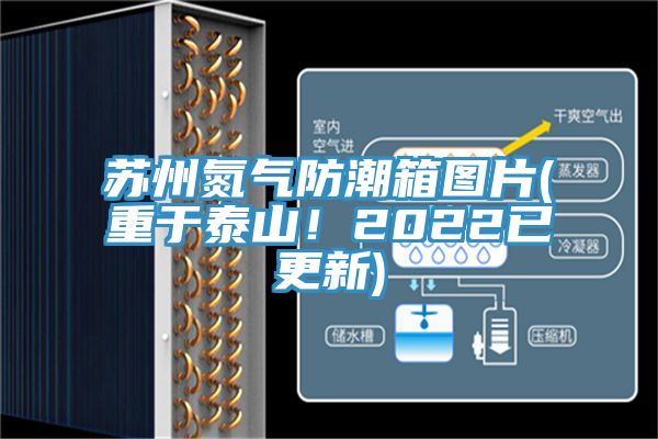 蘇州氮?dú)夥莱毕鋱D片(重于泰山！2022已更新)