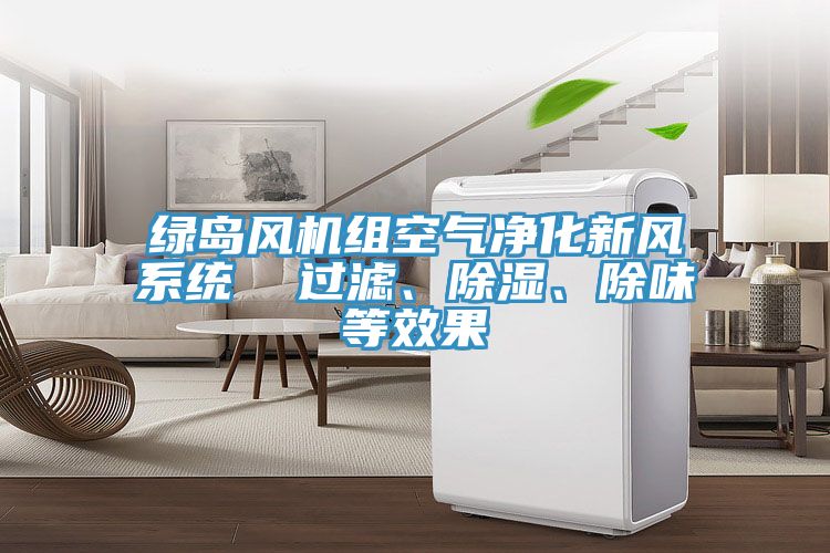 綠島風(fēng)機(jī)組空氣凈化新風(fēng)系統(tǒng)  過濾、除濕、除味等效果