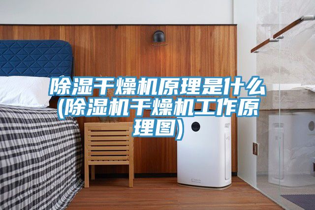 除濕干燥機(jī)原理是什么(除濕機(jī)干燥機(jī)工作原理圖)