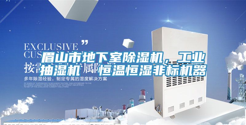 眉山市地下室除濕機，工業(yè)抽濕機  恒溫恒濕非標機器