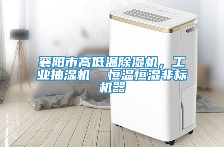 襄陽市高低溫除濕機，工業(yè)抽濕機  恒溫恒濕非標(biāo)機器