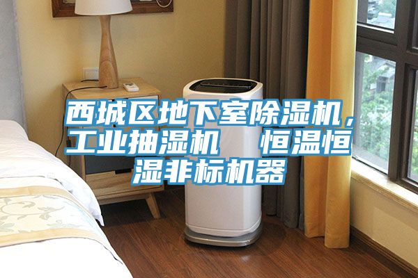 西城區(qū)地下室除濕機，工業(yè)抽濕機  恒溫恒濕非標(biāo)機器